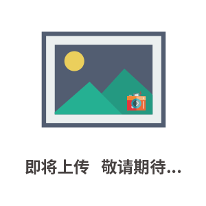 1.5寸 DN40 不銹鋼五通止回閥廠家